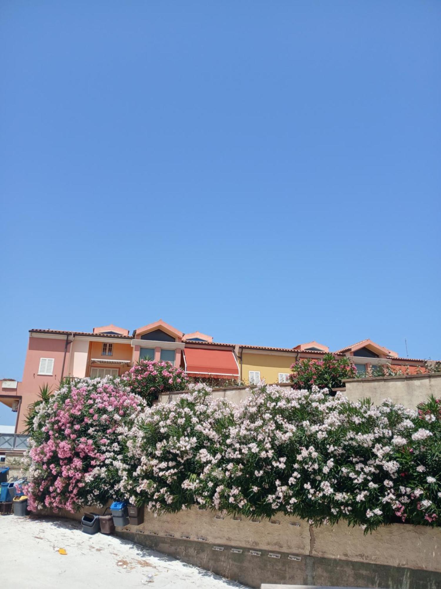 Appartement Club Olbia